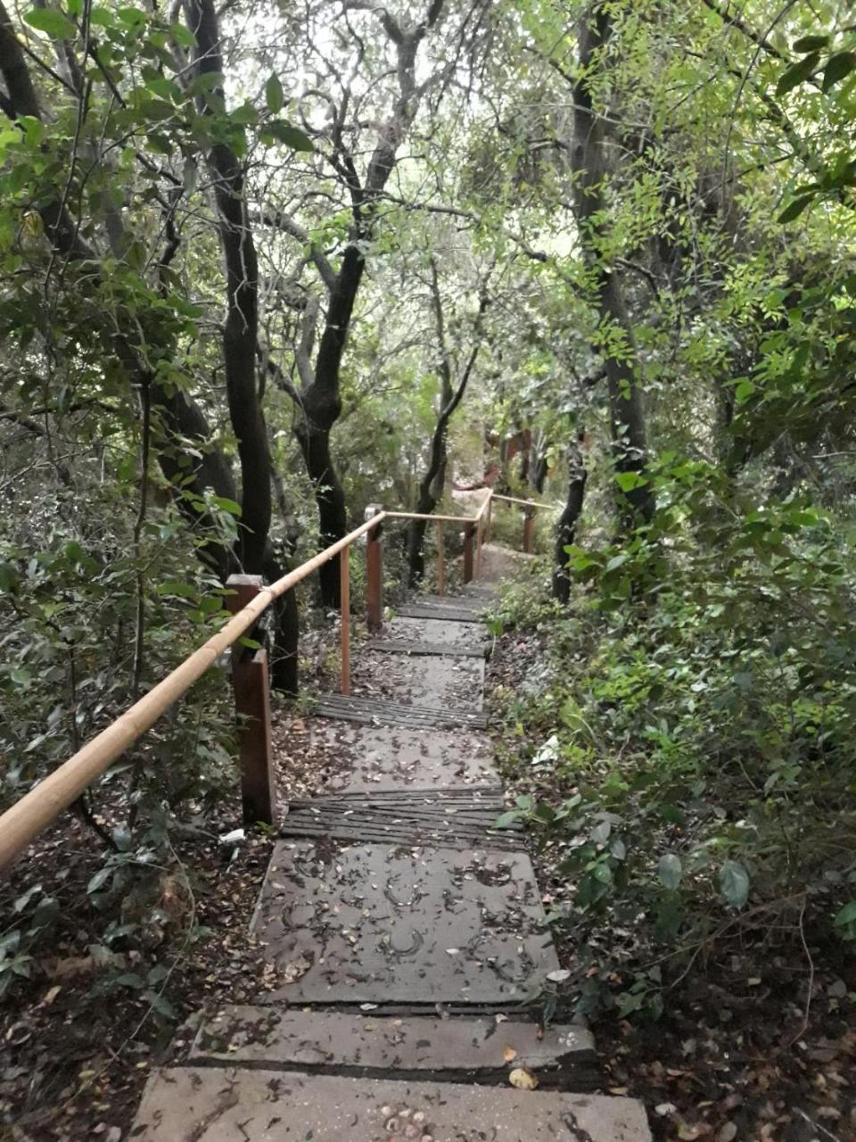 פסגת מתת Pisgat Mattat Villa Kültér fotó