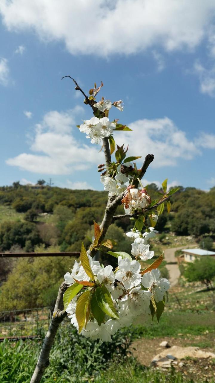 פסגת מתת Pisgat Mattat Villa Kültér fotó